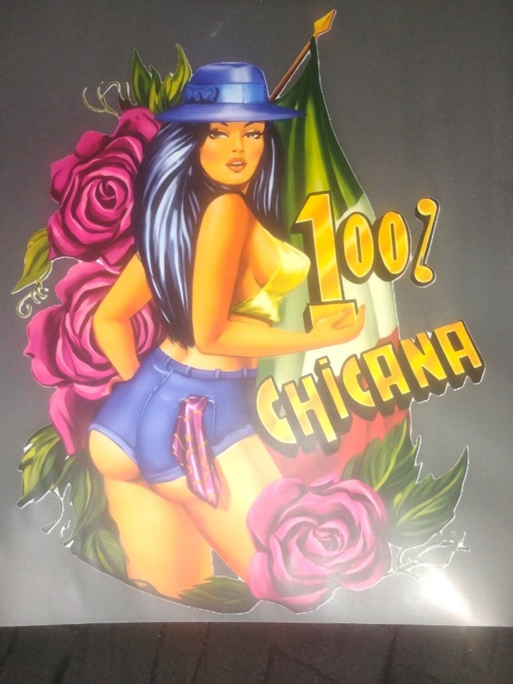 Vintage 100% Chicana - IRON ON Heat TRANSFER - Very rare!